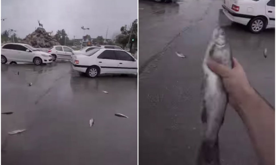 „Žuvų lietus“ Irane