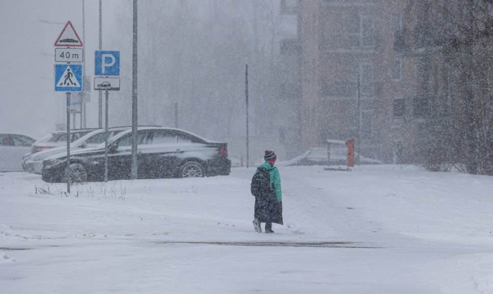 Vilniuje sninga