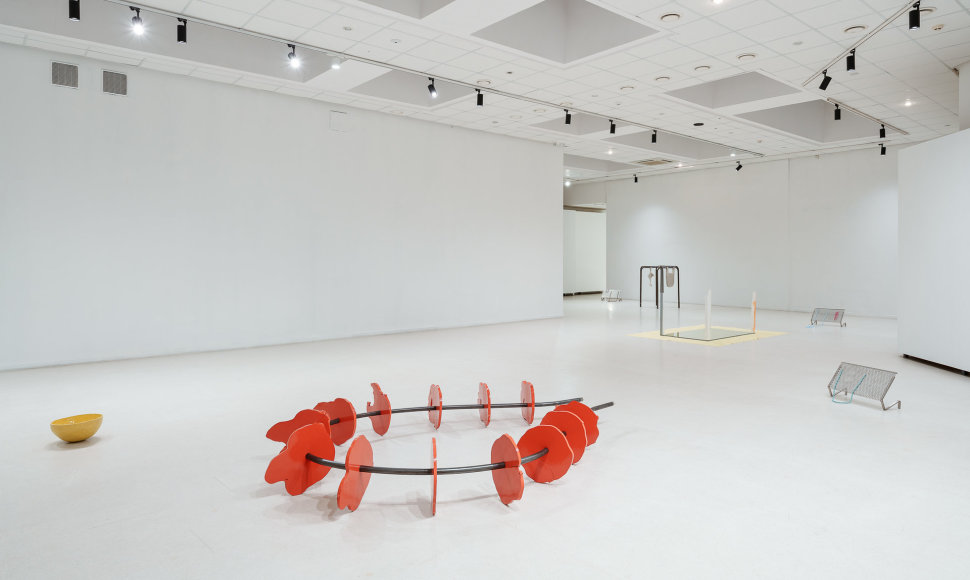 Sidsel Ladegaard parodos „Fine shelf'“ („Plati Lentyna“) ekspozicija