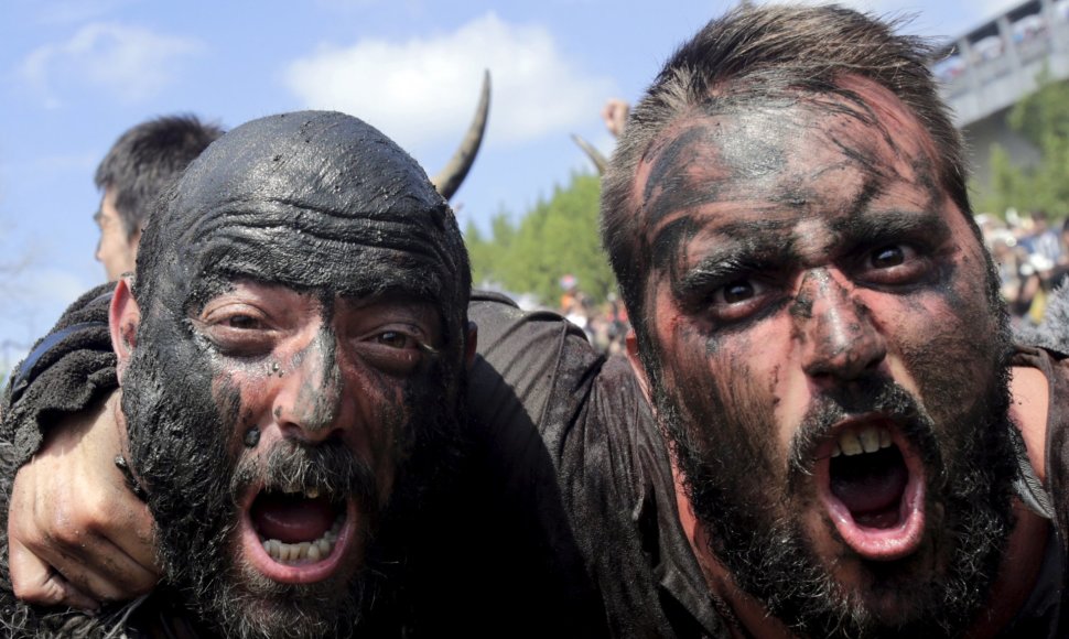 Ispanijos vikingų festivalis