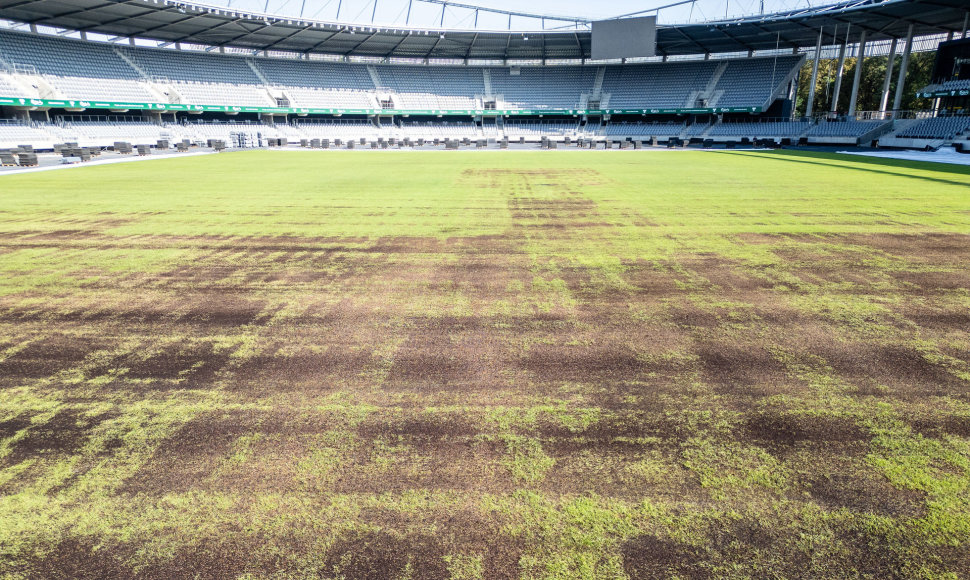 Dariaus ir Girėno stadiono veja