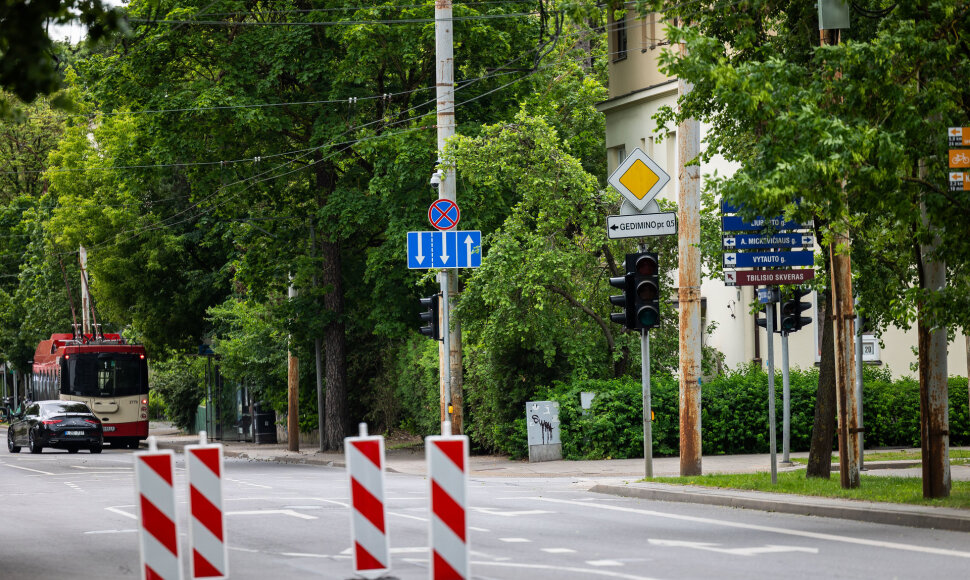 Žveryne dingo elektra