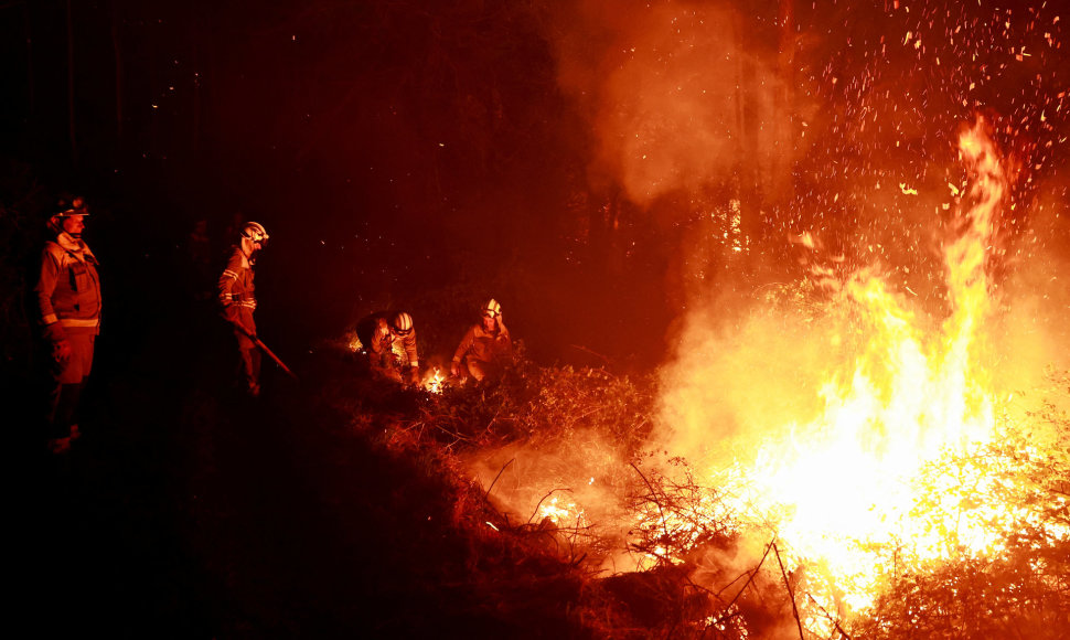 Ispanijos ugniagesiai gesina miško gaisrą