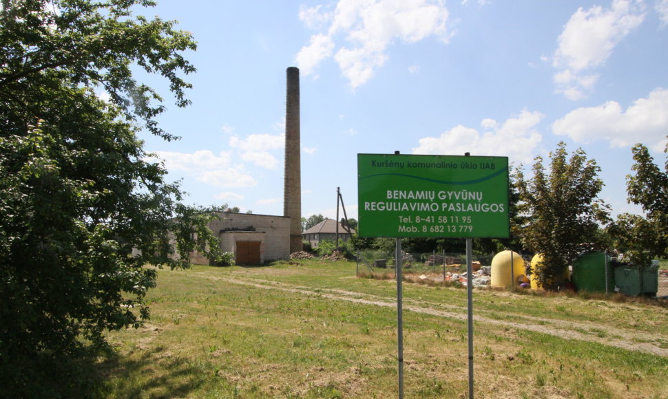 Gyvūnų globos įstaiga „Šiaulių letenėlė“