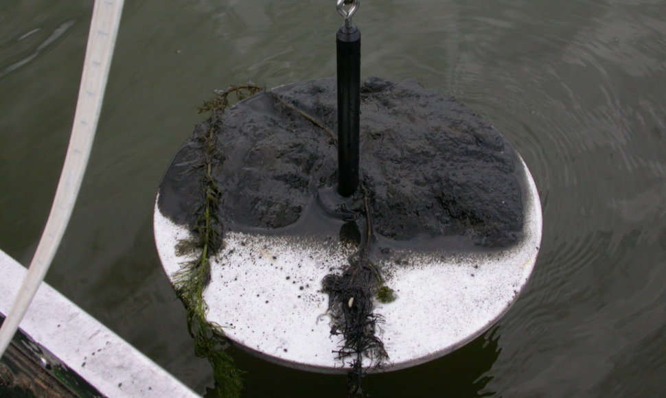 Ežerų valymas surišant fosforą