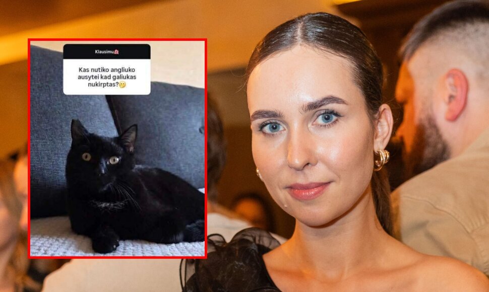 Katinas, Fausta Marija Leščiauskaitė