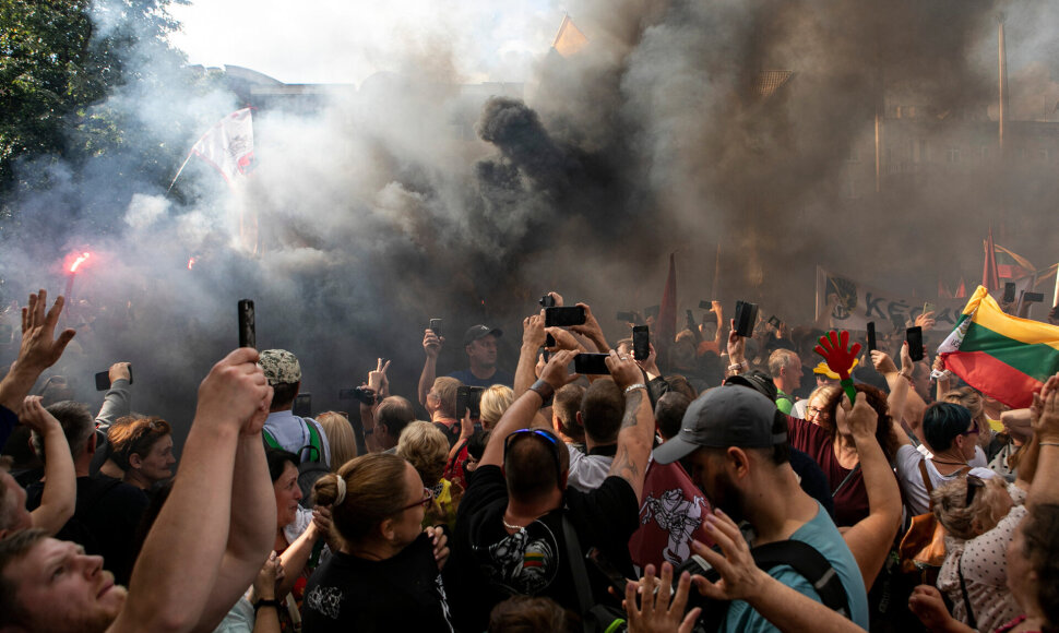 Mitingas prie Seimo prie&scaron; valdžios sprendimus dėl pandemijos valdymo / Pauliaus Peleckio / &bdquo;ŽMONĖS Foto&ldquo; nuotr.