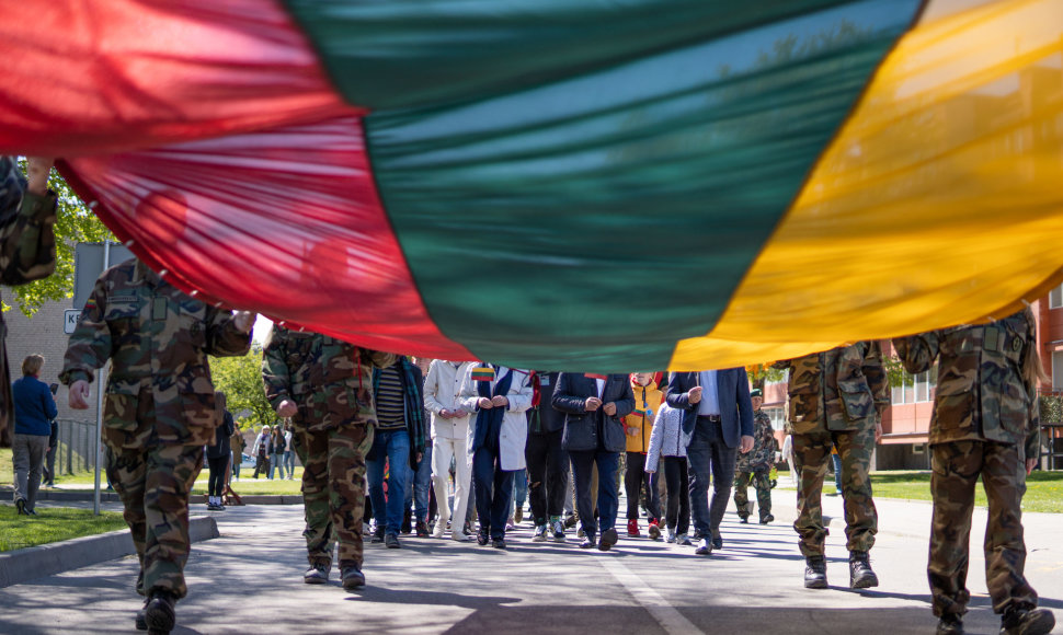 Prienuose, Beržyno parke vyko NATO festivalis