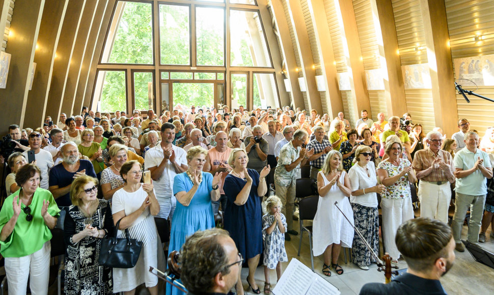 Dubingiu muzikos festivalis