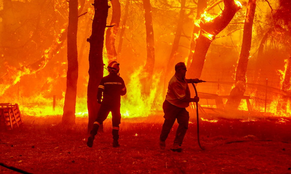 Miško gaisras Graikijoje