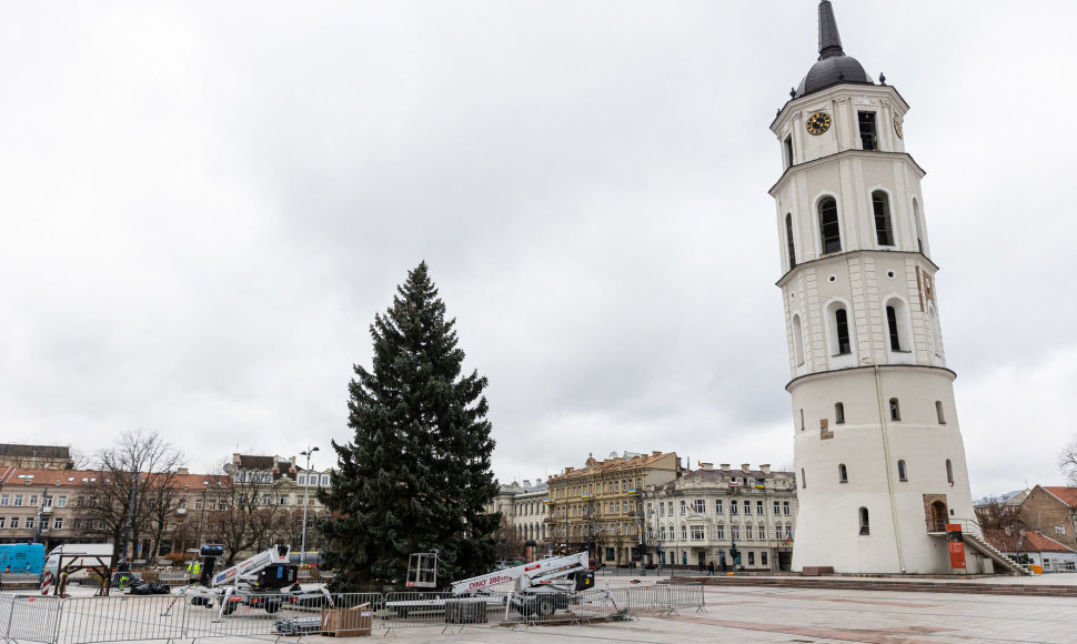 Vilniuje pradėta statyti Kalėdų eglutė