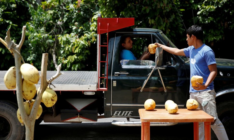 Trūkstant maisto produktų Venesuelos gyventojai valgo mango ir kitus laukinius vaisius