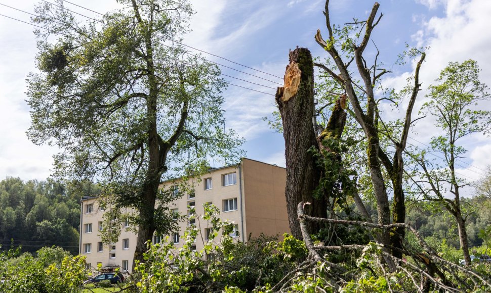 Paneriai šalia Vievio bando atsigauti po dar nematytos audros