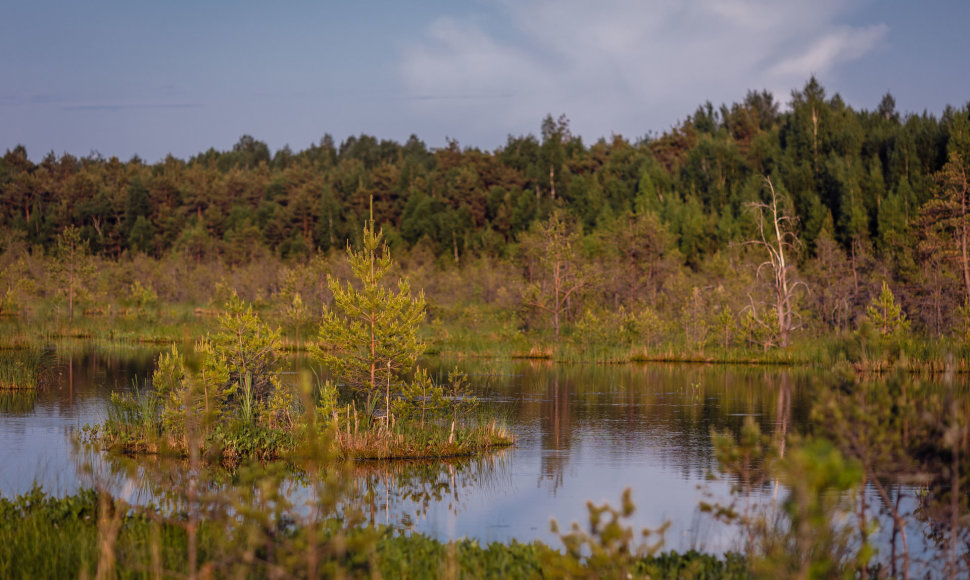 Varnikų pažintinis takas