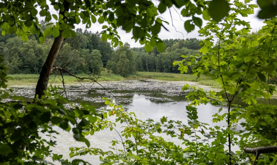 Jeruzalės tvenkinys. / Vilniaus miesto savivaldybės nuotr.