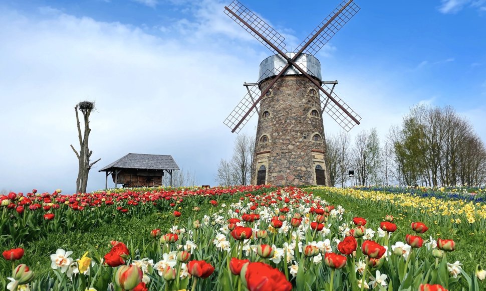 Pakruojo dvaro pavasario gėlių festivalis