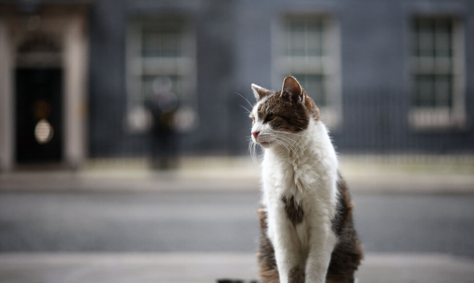 HENRY NICHOLLS / AFP