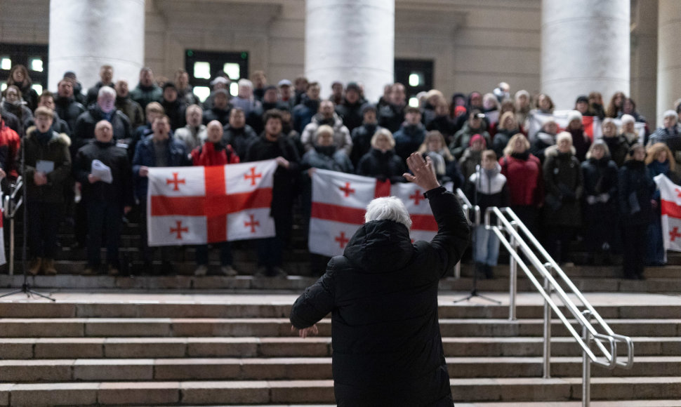 Protestuojančių kartvelų palaikymo akcija