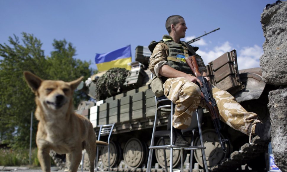Ukrainos karys Donecko srityje