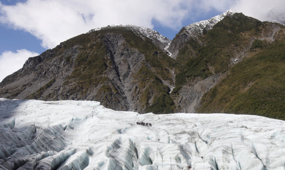 Fokso ledynas Naujojoje Zelandijoje
