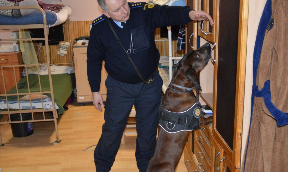 Įkalinimo įstaigų patikrinimas su tarnybiniais šunimis