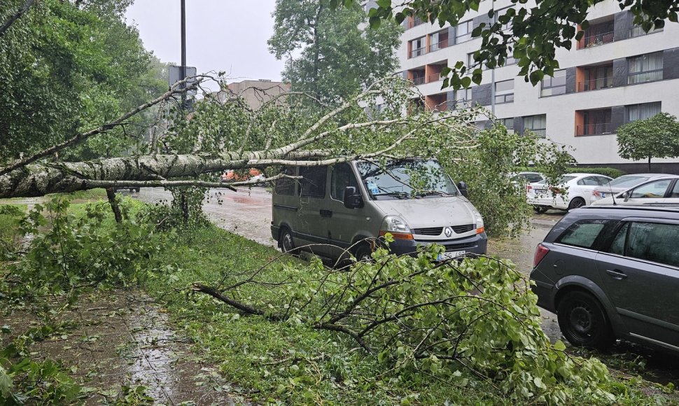 Audros padariniai Vilniuje