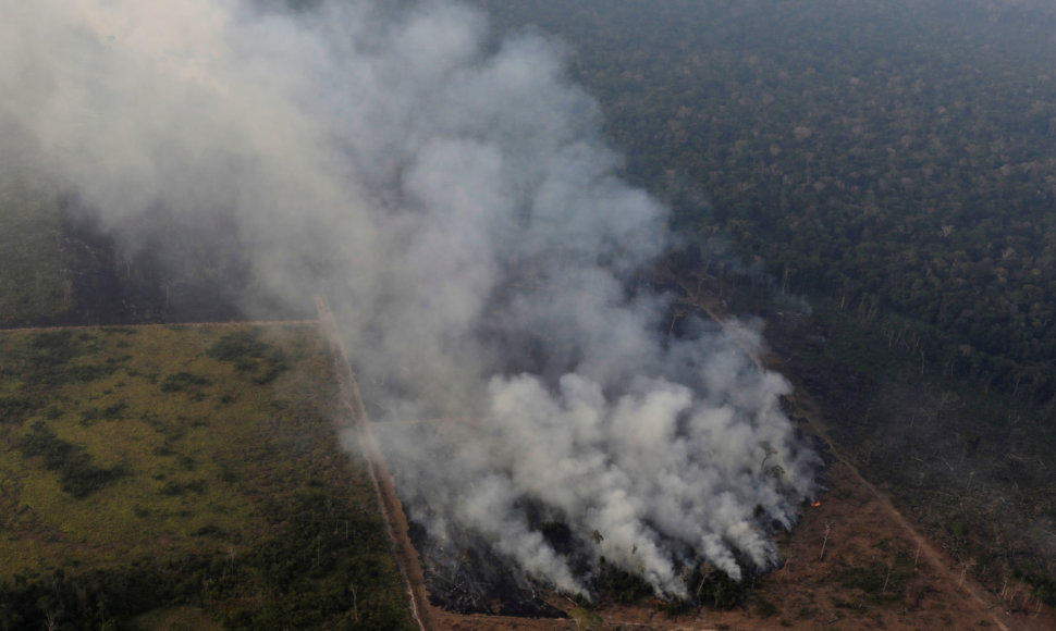 Gaisrai Amazonijoje