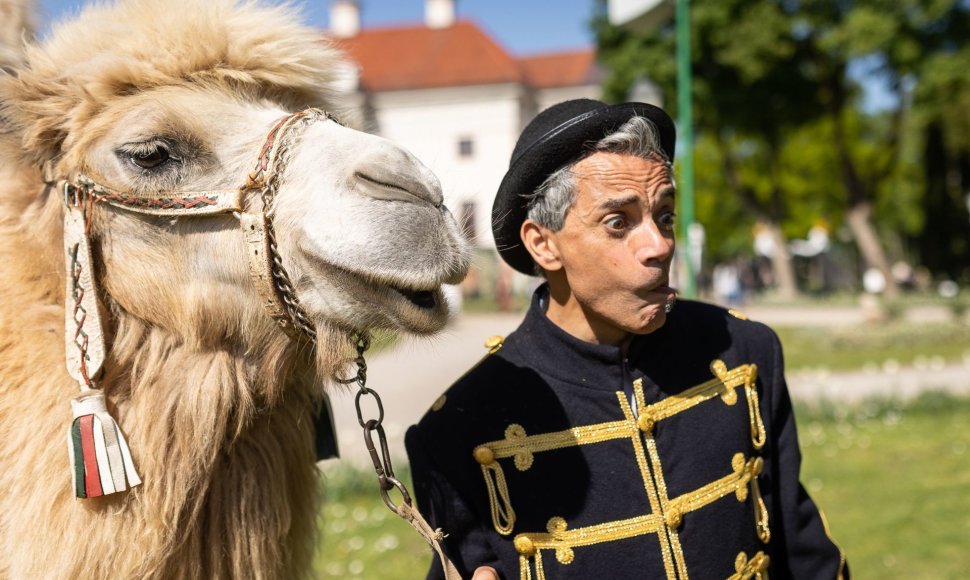 Milijonai žiedų, spektakliai ir stingdantys kraują cirko triukai – didžiausiame šios vasaros festivalyje 