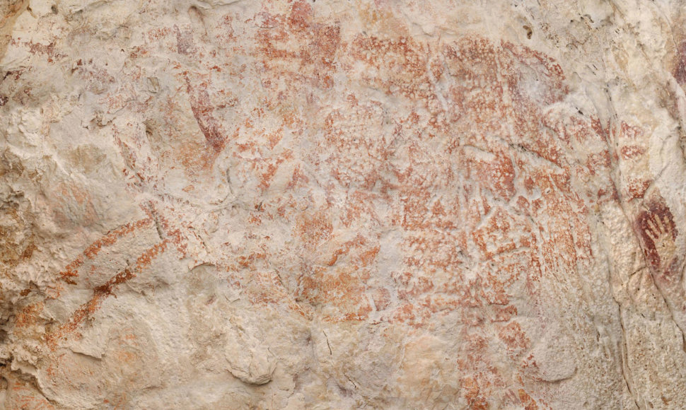 Prieš 40 000 metų sukurtas gyvūno piešinys – seniausias žinomas vaizduojamojo meno kūrinys