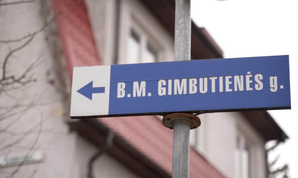 Universiteto dėstytojai M.Gimbutienės ir aplinkinėse gatvėse ėmė kurtis XX a. dešimtajame dešimtmetyje