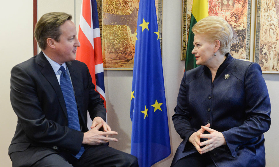 Didžiosios Britanijos premjeras Davidas Cameronas ir Lietuvos prezidentė Dalia Grybauskaitė.