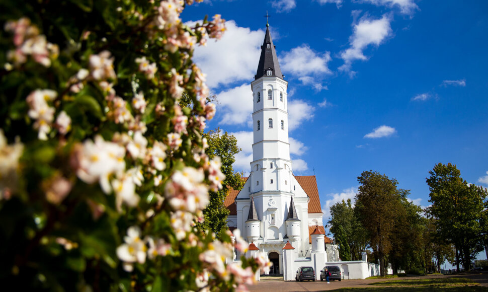 Šv. apaštalų Petro ir Pauliaus katedra