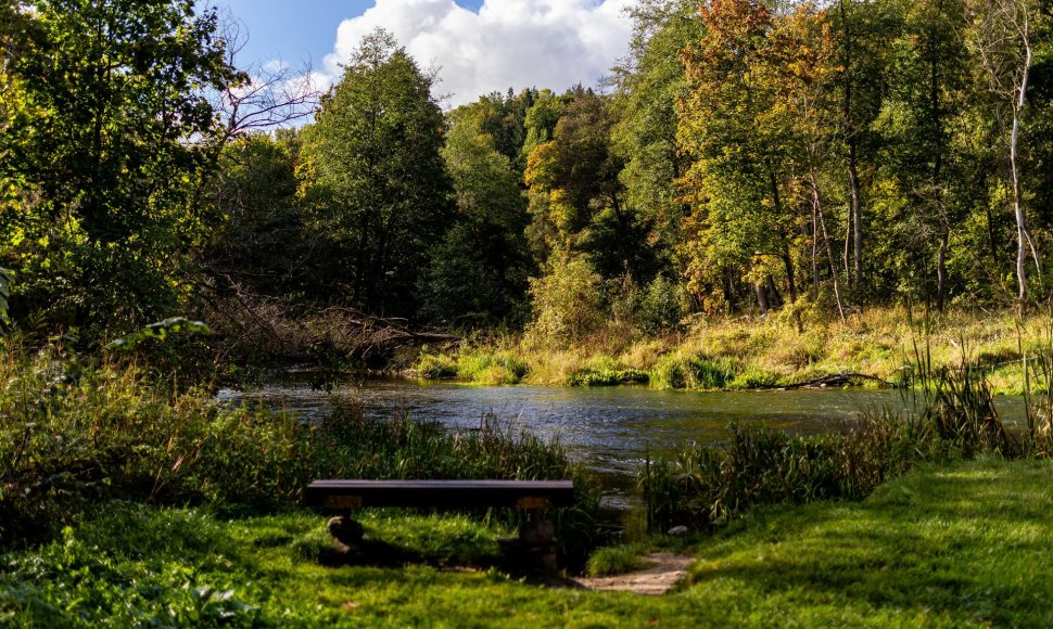 Saulėtas rudens rytas