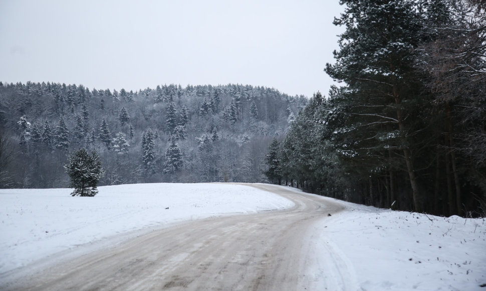 Žiema Verkių regioniniame parke