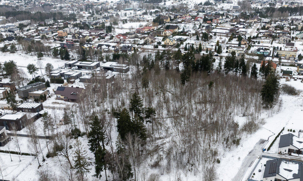 Sklypas Avižienių kaime
