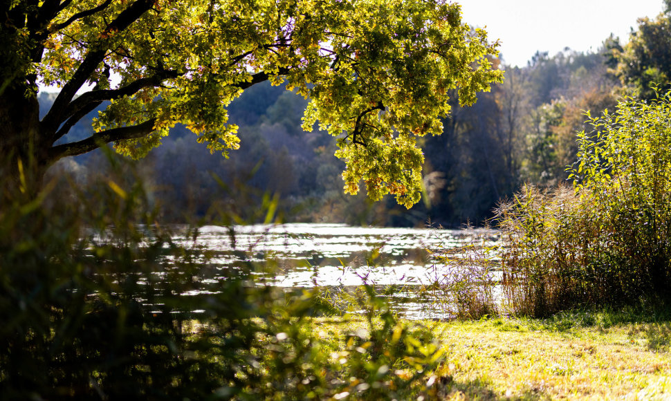 Saulėtas rudens rytas