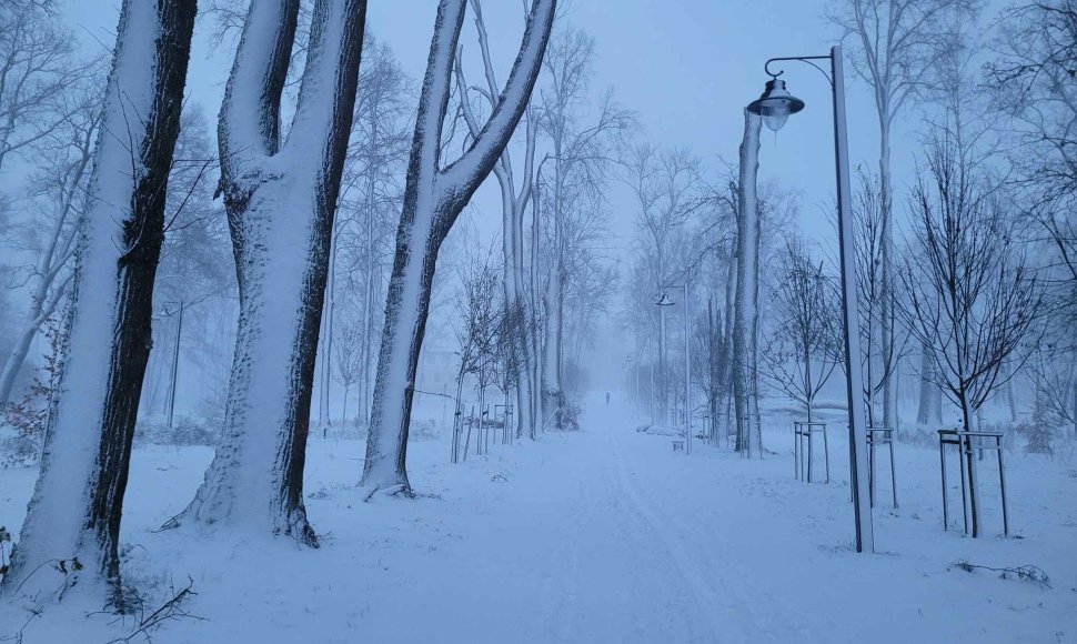 Žiema Žagarės regioniniame parke