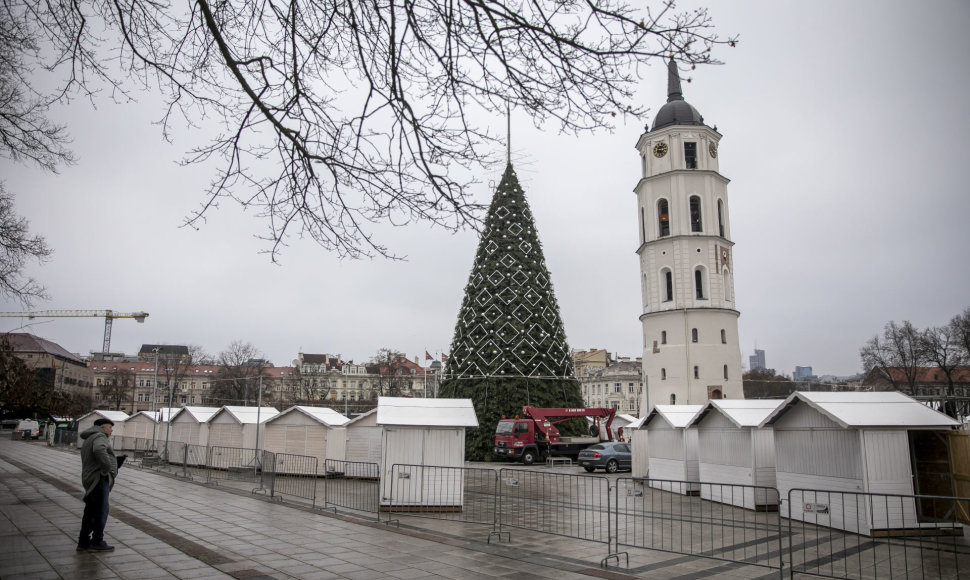 Sostinės Katedros aikštėje statoma Kalėdų eglė