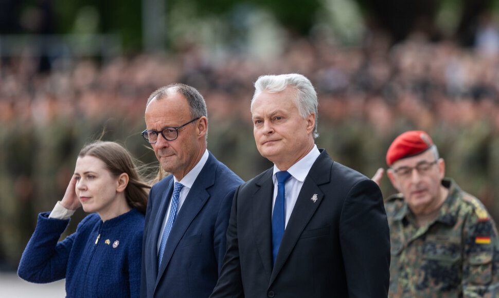 Dovilė &Scaron;akalienė, Friedrichas Merzas, Gitanas Nausėda