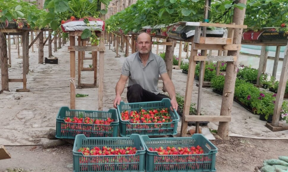 &bdquo;Ogmios miesto&ldquo; ūkininkų turguje &ndash; netikėti vasaros skonių deriniai: pirmąsias bra&scaron;kes kviečia ragauti gurmani&scaron;kai 
