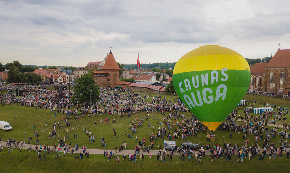 Kaunas auga