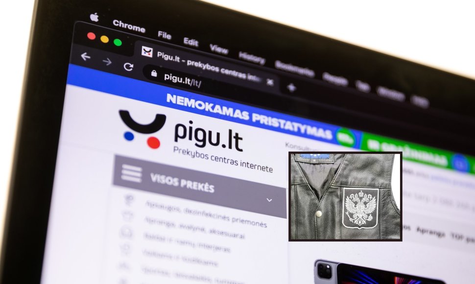 Pigu.lt internetinis puslapis