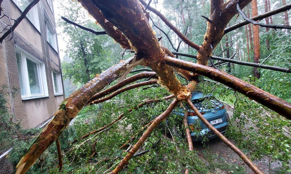 Vilniaus Lazdynų mikrorajone audra pridarė žalos: ant daugiabučio užvirto medis