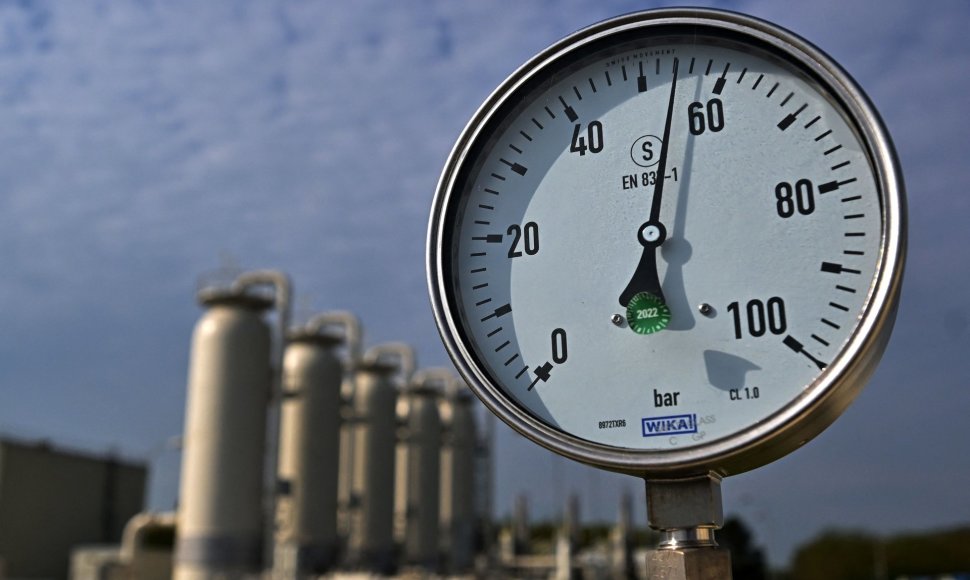 Ar ES pavyktų greitai atsisakyti rusiškų dujų importo?