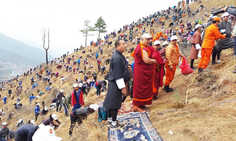 Gimusiam Butano karališkosios šeimos kūdikiui bus pasodinti 108 tūkst. medžių