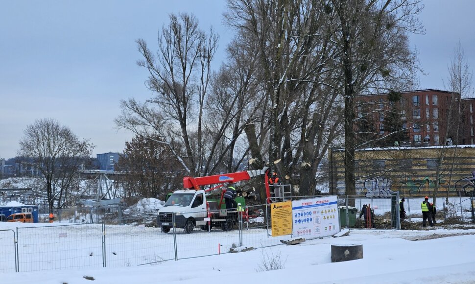 Kaunietis sunerimo dėl statybvietėje masi&scaron;kai pjaunamų medžių
