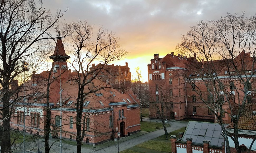 Klaipėdos universitetas