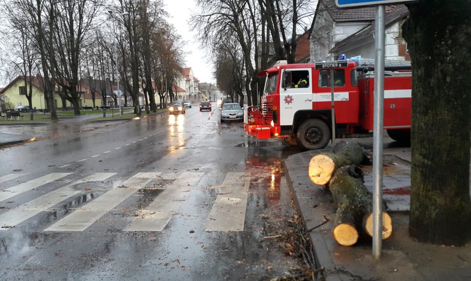 Vėjo gūsiai Šilutėje vartė medžius