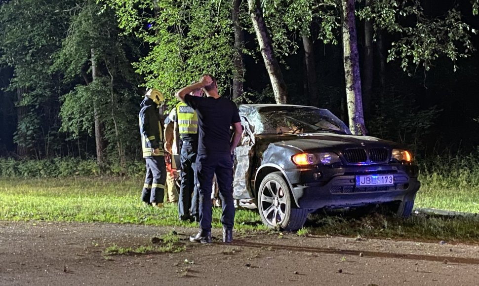 Vilniuje prie Vingio parko BMW atsitrenkė į medį