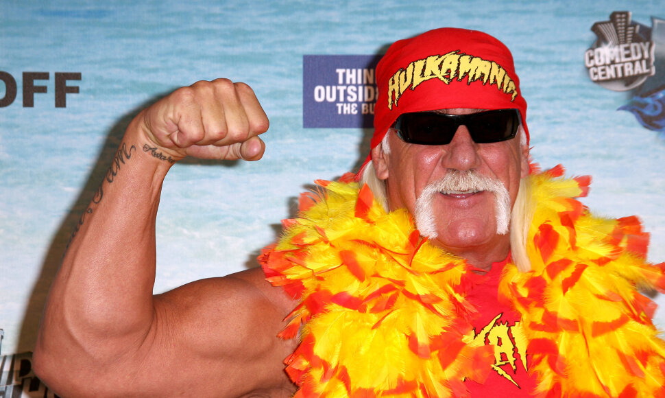 Hulkas Hoganas